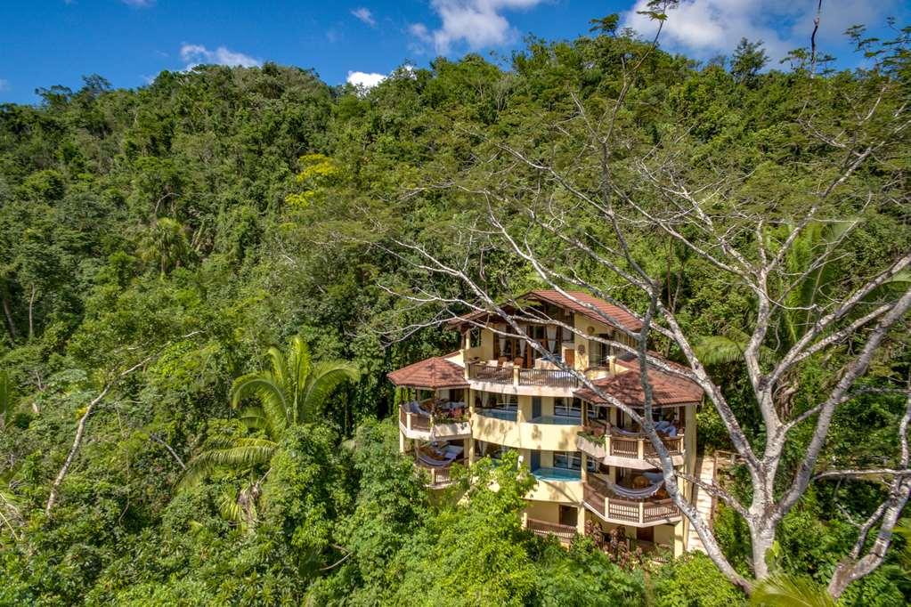 Sleeping Giant Rainforest Lodge Belmopan Exterior photo
